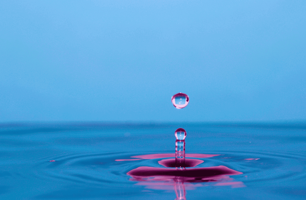 Lotusblume auf ruhigem Wasser – Symbol für Achtsamkeit, Ruhe und innere Balance